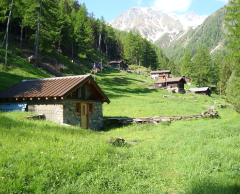 1184734_orig