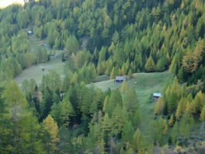 851050_orig